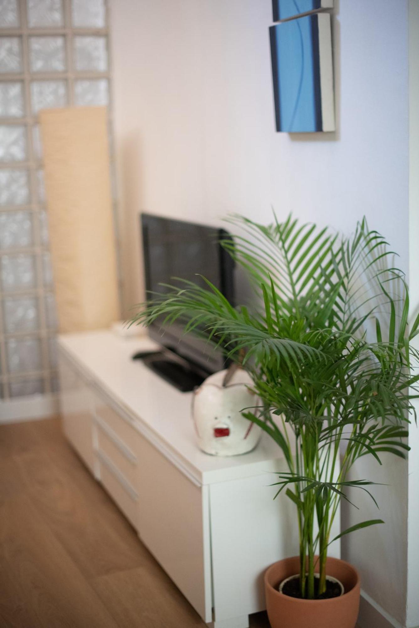 Cozy & Quiet Apartment In The Center 말라가 외부 사진